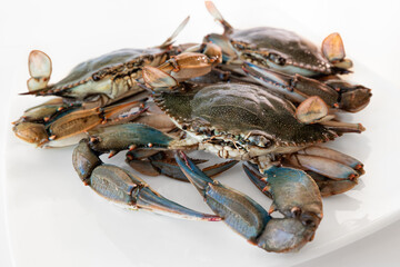 blue crab in the dish, group of blue crabs ingredient in cooking.