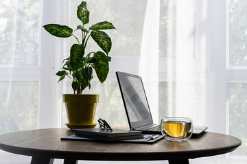 Office table in sunny day with lap top, notebooks, glasses and cup of herbal tea close up.