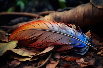 Poster - feather lying on a pile of leaves