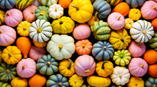 Pastel Colored Pumpkins And Squashes