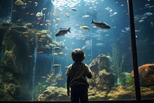A Group Of Excited Children, Including Siblings And Friends, Watch In Wonder At The Captivating Marine Life Inside An Aquarium Tank Filled With Tropical Fish, Coral, And A Shark