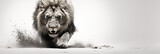 Portrait of a young male lion in action. Animals.