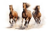 Fototapeta Konie - three galloping horses