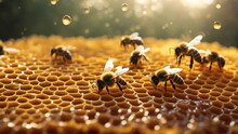 Hundred Of Bees Producing Honey On Honeycombs
