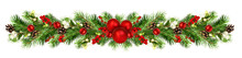 Snowberries With Green Twigs Of Christmas Tree, Red Decorations And Cones In A Festive Garland Isolated On White Or Transparent Background