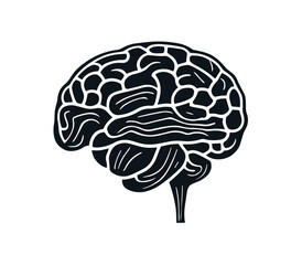 Brain line illustration mind vector PNG image