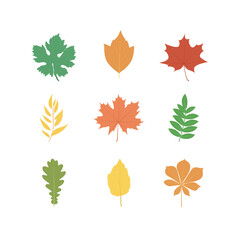 Wall Mural - Autumn leaves set of flat design elements