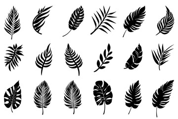 Wall Mural - Leaf icons set. Black tropical leaf icons isolated.