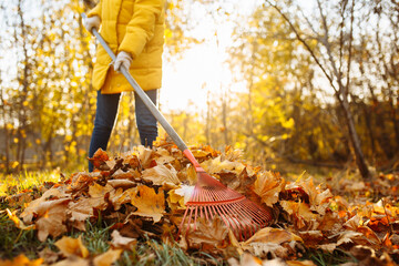 A young girl is clearing fallen leaves in the park on a sunny autumn evening. A woman volunteers in a yellow jacket.