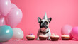A dog celebrating in a cake hat, with balloons and cake, on a pink background