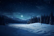 canvas print picture - Schneelandschaft bei Nacht
