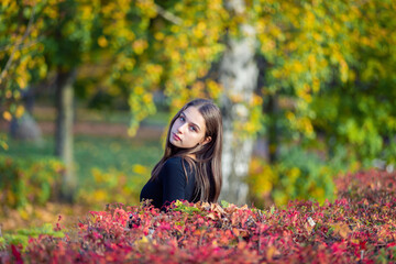 Wall Mural - Portrait of a beautiful girl near a red-yellow bush in an autumn park.