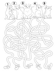 Wall Mural - Tangled maze of cat tails. Maze for children. Educational game for kids. Attention task. Choose right path. Funny cartoon character. Coloring book. Worksheet page. Vector illustration