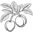 Illustration of an apple with leaves vector illustration