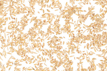 Cereal seeds isolated on white background. pile oats, wheat, barley close-up