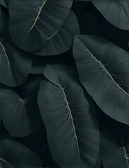 Sticker - Textures of abstract black leaves for tropical leaf background. Flat lay, dark nature concept, tropical leaf.