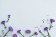 Composition folded from violet flowers (Bushy Asters). White background and place for text. Flowers pattern top view, flat lay, copy space for text.