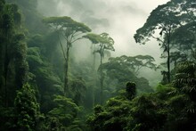 Misty Rainforest Canopy View. Generative AI