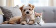 Small puppy and kitten on a gray sofa, close-up. Generative AI