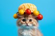 © Markus Schröder - laperm cat wearing a fruit hat against a cerulean blue background