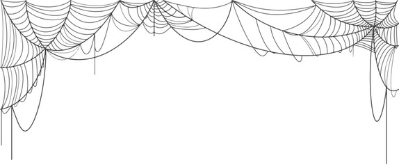 Wall Mural - spider web line art vector