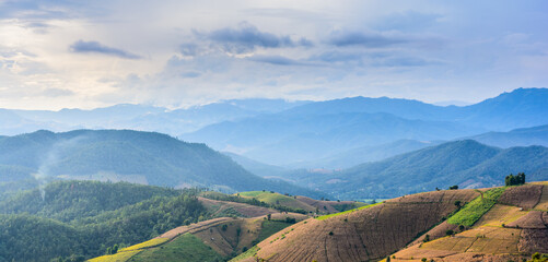 Wall Mural - Landscape of mountain range in cool tone blue color at sunrise with morning fog and cloudy sky. Mountain peak in rainy season and corn field.