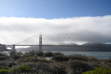 Canvas Print - Golden Gate Bridge in San Francisco, USA