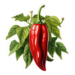 red pepper chili . Clipart PNG image . Transparent background . Cartoon vector style . Generative AI 