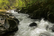 Fast flowing river in Exmoor