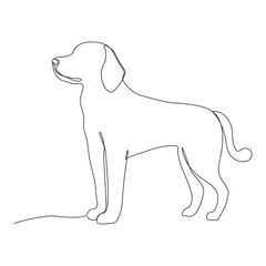 Wall Mural - Single line dog outline continuous vector art illustration