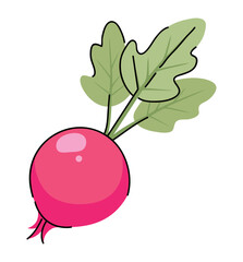 Poster - colored radish design