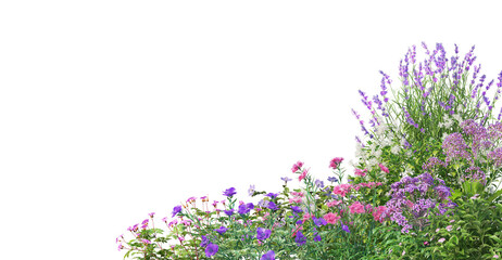 Sticker - 3D render Foreground flowers and multiple plants on transparent background