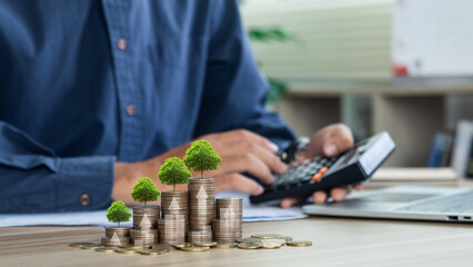 Wall Mural - Businessman using a calculator and tree growing on money coin stack with growth graph. Concept of Green business growth or green investment, finance and sustainability investment. Carbon credit.