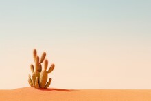 Daytime Cartoon Flat Style Desert Landscape