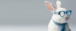 Portrait of a cute white rabbit in transparent blue glasses on an isolated gray background banner. Funny rabbit in a tie looks out from behind his glasses and looks at the camera. Generative AI.