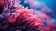 © Margo_Alexa - close-up Sea corals underwater. Colorful abstract natural pattern, texture, underwater background.