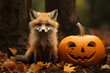 Red fox in the autumn forest near to a pumpkin