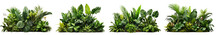 Collection Of Green Leaves Of Tropical Plants Bush (Monstera, Palm, Rubber Plant, Pine, Bird's Nest Fern). PNG, Cutout, Or Clipping Path.