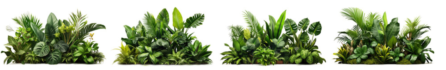 Wall Mural - Collection of green leaves of tropical plants bush (Monstera, palm, rubber plant, pine, bird's nest fern). PNG, cutout, or clipping path.