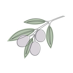 Wall Mural - Olive branch drawn in one continuous line in color. One line drawing, minimalism. Vector illustration.