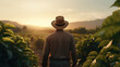 Coffee Fields at Sunrise: A Man with a Hat Takes a Peaceful Stroll Through the Scenic Coffee Plantations..