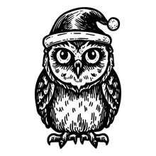 Owl Wearing A Santa Claus Hat Christmas Sketch