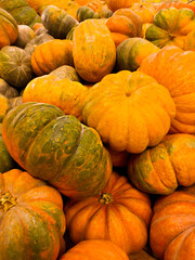 Wall Mural - Pumpkin harvest. Autumn vegetables at the market.