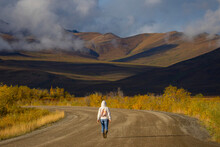 Woman Walking Down The Dempster Highway In The Early Morning Light Of The Yukon. Autumn Colours Are Starting To Adorn The Landscape; Yukon, Canada