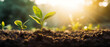 Plant seedlings growing in rich soil. Morning sunlight shining on wide eco concept panoramic banner. Generative AI