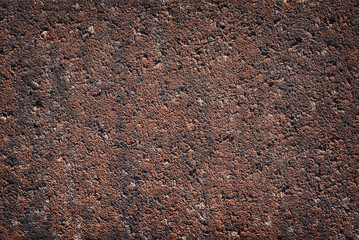 Wall Mural - Surface texture of a brown concrete slab.