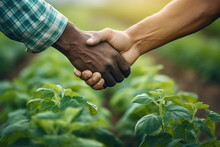 Close-up Image Of Two People Shaking Hands In Field. This Picture Can Be Used To Represent Successful Business Deal Or Partnership. It Can Also Be Used To Illustrate Teamwork, Collaboration, Or Trust