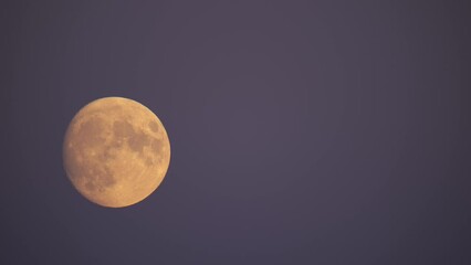 Wall Mural - Almost Full Moon Rising in the Night Sky Timelapse
