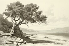 Vintage Engraving Of A Beech Tree On A Popular Shore From A 1908 Encyclopedia. Generative AI