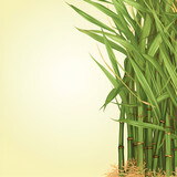 Fototapeta Sypialnia - sugar cane bamboo background flyer natural brown green